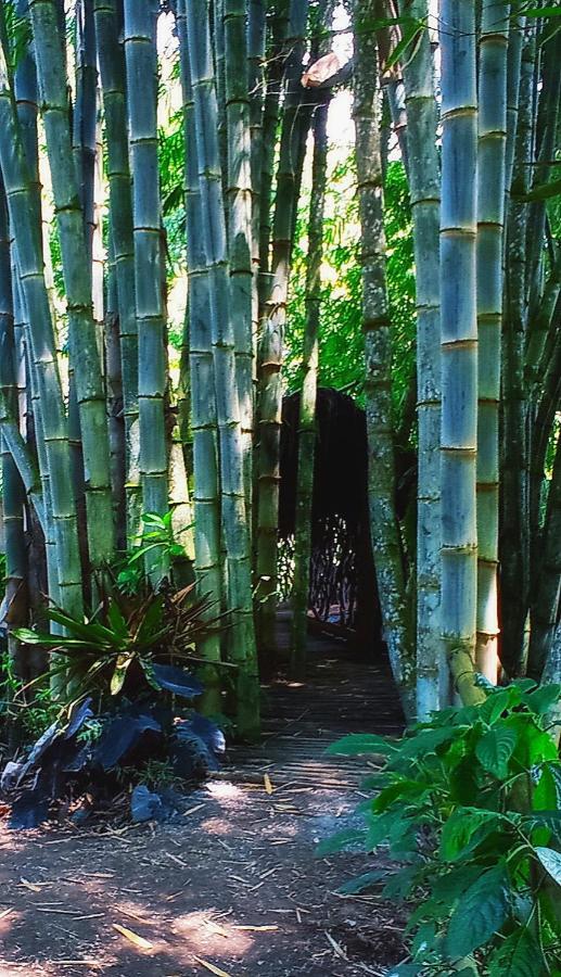 Cantalarana Lodge ميندو المظهر الخارجي الصورة